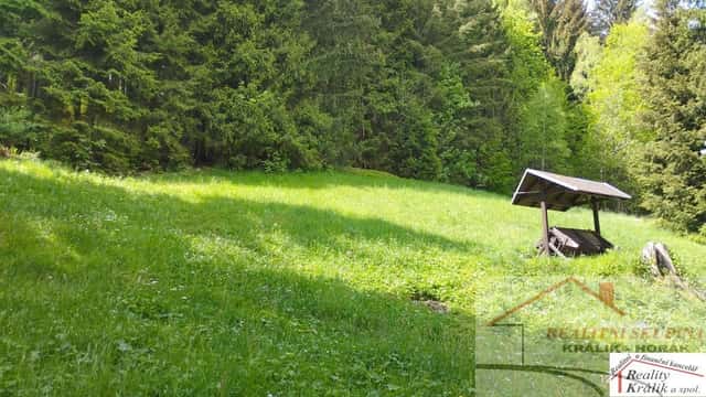 Pozemek k využití na bydlení nebo rekreaci, město Tanvald, Údolí Kamenice, Tanvald, okres Jablonec nad Nisou