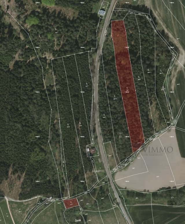 Prodej lesa o celkové ploše 12 320 m2, Trocnov, Borovany, Borovany – Trocnov, okres České Budějovice
