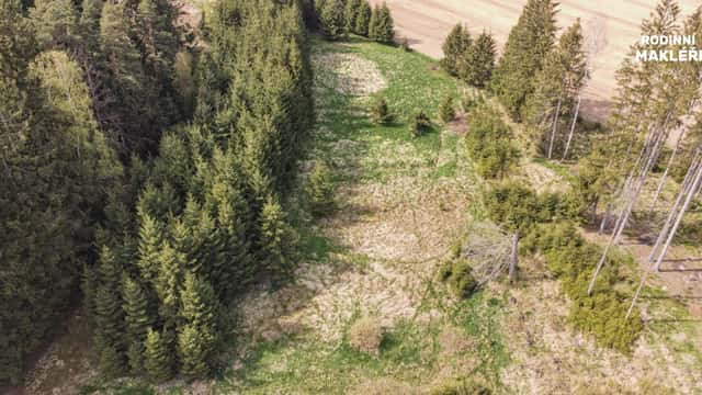 Trvalý travní porost, 4179 m2, Poděšín, okr. Žďár nad Sázavou, Poděšín, okres Žďár nad Sázavou