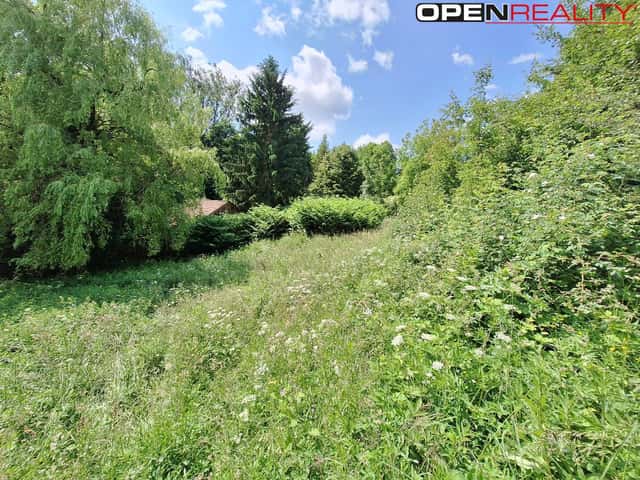 Prodej rodinného domu k rekonstrukci s rozsáhlými pozemky Žítková, CHKO Bílé Karpaty, Žítková, okres Uherské Hradiště