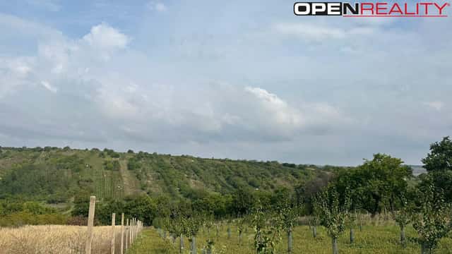 Prodej zahrady 358 m2, Němčičky u Hustopečí., Němčičky – Bořetice, okres Břeclav