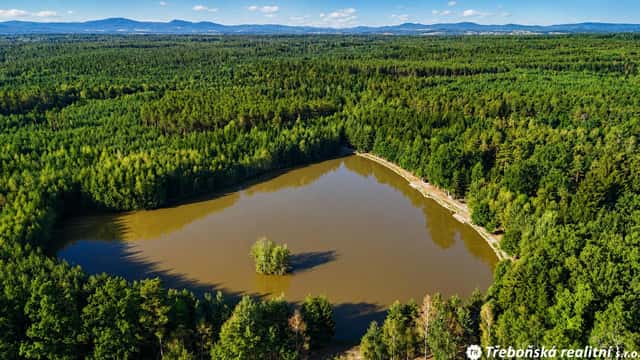 Prodej rybníka Kojanský velký rybník u Šalmanovic, Jílovice – Šalmanovice, okres České Budějovice