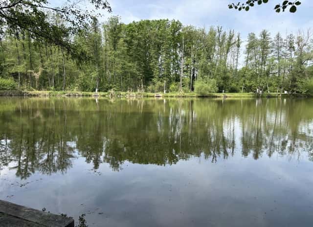Prodám rybník určený ke sportovnímu rybaření, Pardubice – Lány na Důlku