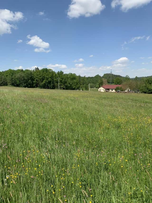Stavební pozemek, Hluboká nad Vltavou, Purkarec, Hluboká nad Vltavou – Purkarec, okres České Budějovice
