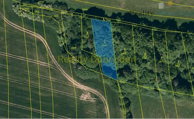 Prodej lesních pozemků, Benkovice, Opava, Hradec nad Moravicí – Benkovice, okres Opava