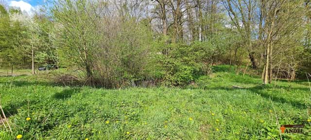 Zahrada s rybníčkem, 730 m, Havířov, Pod Svahem, Havířov – Dolní Suchá, okres Karviná
