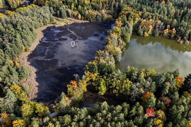 Prodej, pozemky/rybník, 64790 m2, Žíteč, Chlum u Třeboně, Jindřichův Hradec [ID 77875], Chlum u Třeboně – Žíteč, okres Jindřichův Hradec