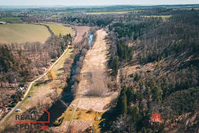 Prodej, pozemky/les, 4109 m2, Plešnice, Plzeň-sever [ID 70657], Plešnice, okres Plzeň-sever