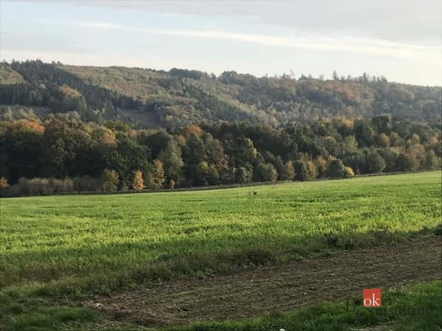 Prodej, pozemky/bydlení, 1395 m2, Čavisov, Ostrava-město [ID 84837], Čavisov, okres Ostrava-město