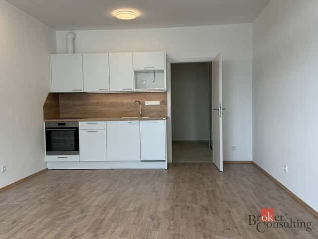 Prodej, byty/1+kk, 46 m2, Železná 3057/8, 30100 Plzeň, Plzeň-město [ID 86525], Železná, Plzeň – Jižní Předměstí, okres Plzeň-město