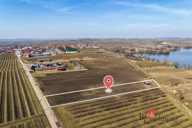 Prodej, pozemky/vinice/sady, 2791 m2, Velké Bílovice , Břeclav [ID 90402], Velké Bílovice, okres Břeclav