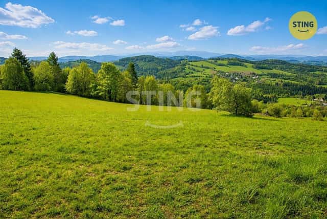Louka, prodej, Jakubovice, Šumperk, Jakubovice, okres Šumperk