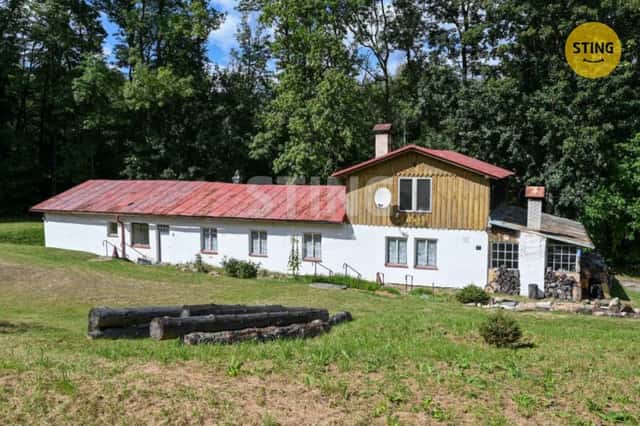 Zámek, hrad, památka, prodej, Česká Ves, Jeseník, Česká Ves, okres Jeseník