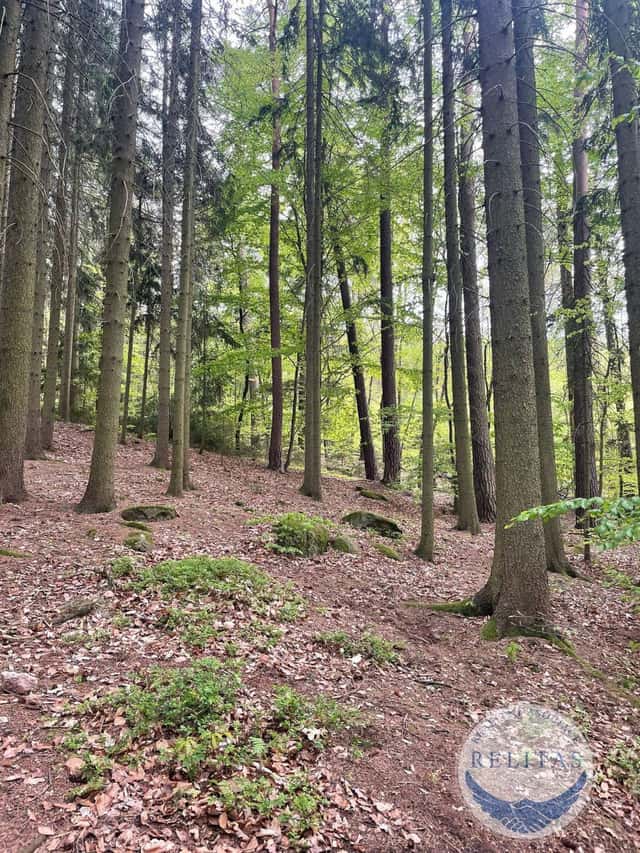 Prodej lesního pozemku 7 759 m, Sázavská, Jevany, okres Praha-východ