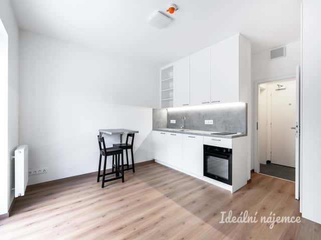 Pronájem bytu 1+kk, V Kněžívce, Tuchoměřice, 22 m2, V Kněžívce, Tuchoměřice, okres Praha-západ