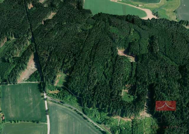 Prodej lesního pozemku, 38985 m2, Křeč, okres Pelhřimov, Křeč, okres Pelhřimov