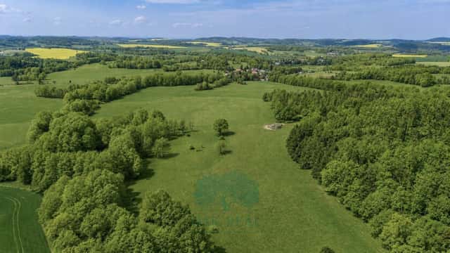 Prodej zcelených zemědělských pozemků - pastviny, rybník a lesy, o celkové výměře 274 000 m, Vrchoto, Vrchotovy Janovice – Rudoltice, okres Benešov
