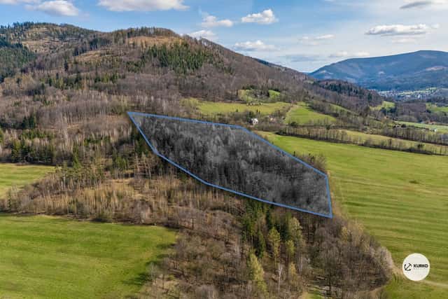 Prodej lesního pozemku, 20 736 m, Vyšní Lhoty, Vyšní Lhoty, okres Frýdek-Místek