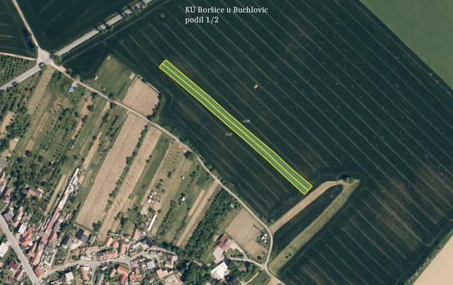 Zemědělská půda, prodej, Boršice, Uherské Hradiště, Boršice, okres Uherské Hradiště