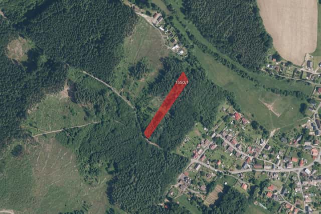 Les, prodej, Pec, Domažlice, Pec, okres Domažlice