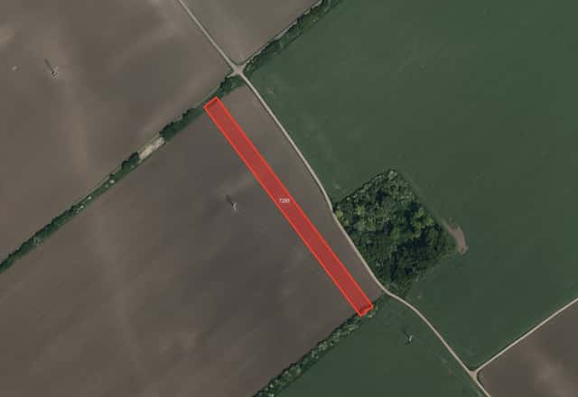 Zemědělská půda, prodej, Veselí nad Moravou, Hodonín, Veselí nad Moravou, okres Hodonín