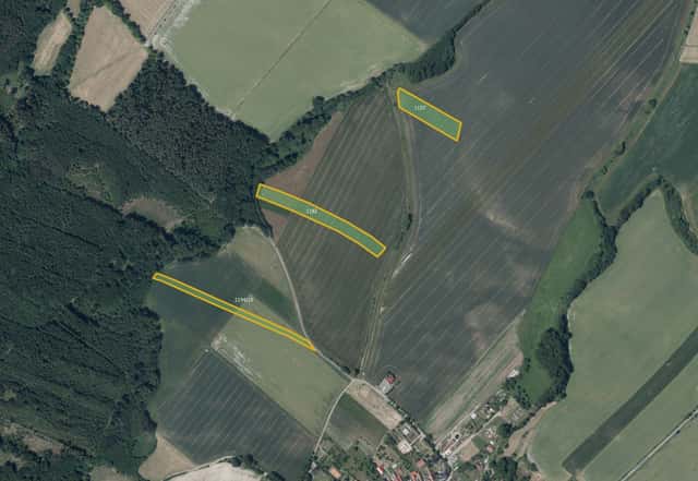 Zemědělská půda, prodej, Podmoky, Havlíčkův Brod, Podmoky, okres Havlíčkův Brod