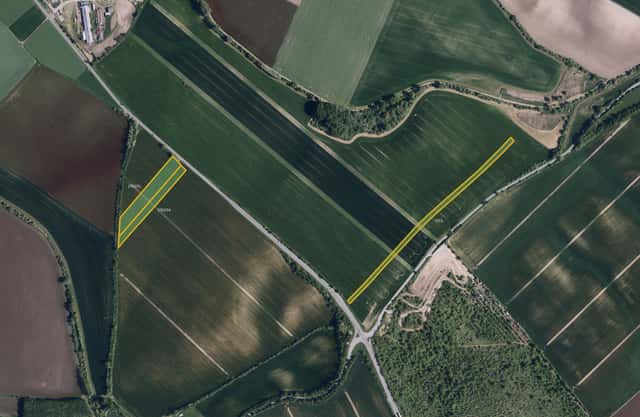 Zemědělská půda, prodej, Klobouky u Brna, Břeclav, Klobouky u Brna, okres Břeclav