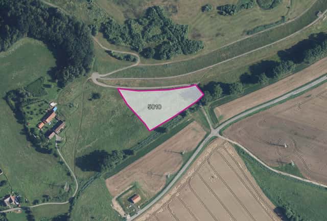 Zemědělská půda, prodej, Rychnov na Moravě, Svitavy, Rychnov na Moravě, okres Svitavy