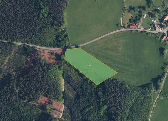 Zemědělská půda, prodej, Borohrádek, Rychnov nad Kněžnou, Borohrádek, okres Rychnov nad Kněžnou