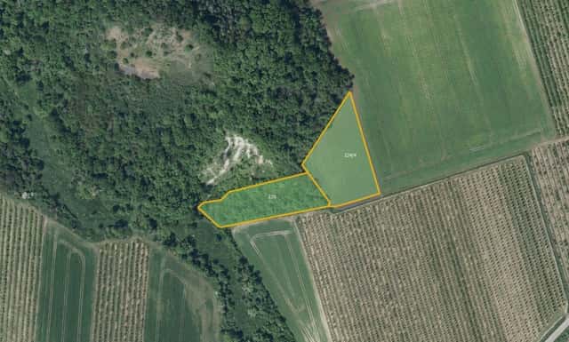 Sady, vinice, prodej, Želkovice, Louny, Želkovice, okres Louny