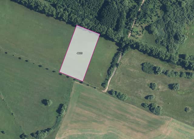 Louka, prodej, Dvůr Králové nad Labem, Trutnov, Dvůr Králové nad Labem, okres Trutnov