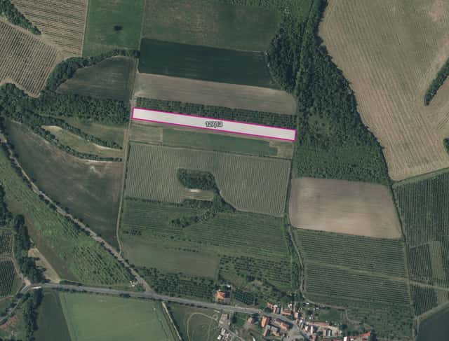 Sady, vinice, prodej, Želkovice, Louny, Želkovice, okres Louny