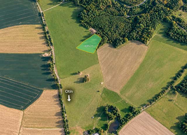 Zemědělská půda, prodej, Otín, Planá, Tachov, Planá – Otín, okres Tachov