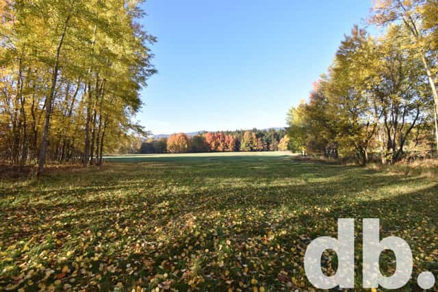 Prodej, Pozemky pro bydlení, 43 224 m2 - Nová Role - Mezirolí, Nová Role – Mezirolí, okres Karlovy Vary