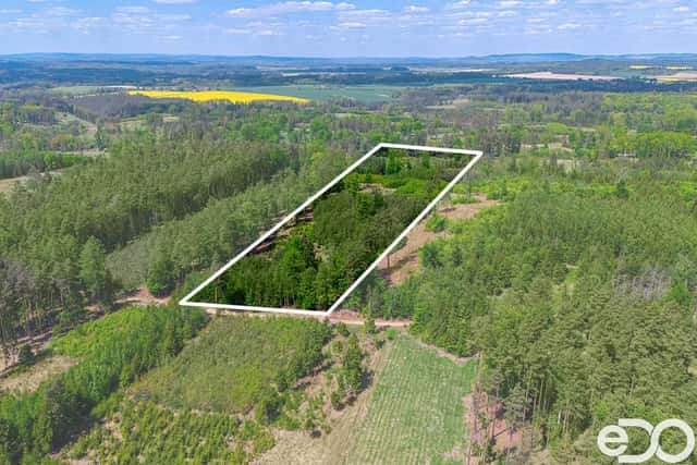 Prodej zajímavých lesních pozemků 79 500 m2, 1 987 500 Kč, Jetětice, okres Písek