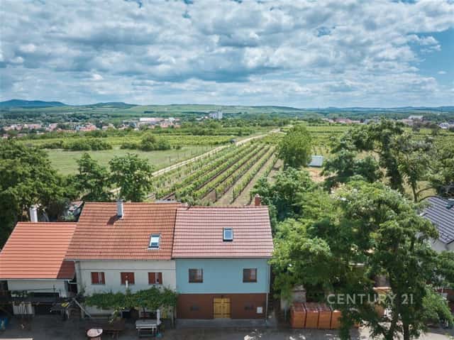 Prodej rodinného domu s vinným sklepem a vinohradem, Drnholec, Drnholec, okres Břeclav