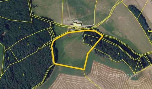 Prodej orné půdy a lesa 15 527 m2, Vranová u Letovic, okr. Blansko, Vranová, okres Blansko