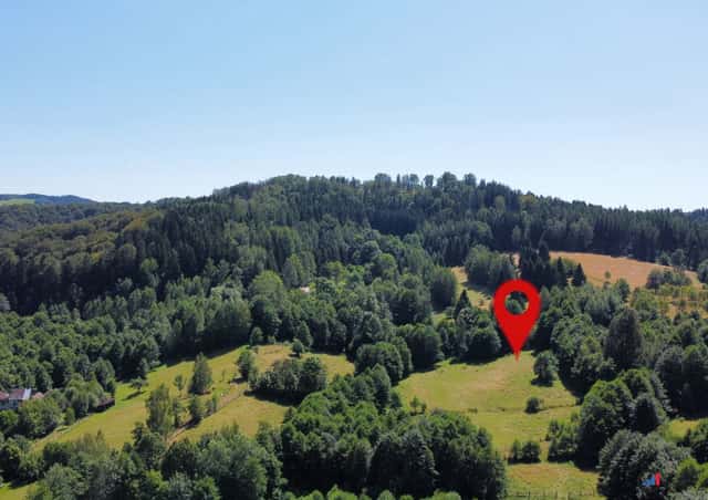 Prodej pozemku 3 446 m - Olešnice v Orlických horách, Olešnice v Orlických horách, okres Rychnov nad Kněžnou