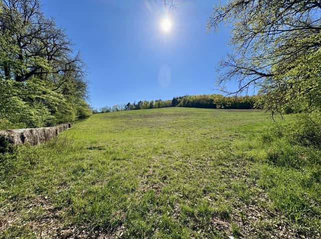 Zemědělské pozemky 30 951 m Rochov u Tetčiněvsi - absolutní klid, příroda, soukromí, Úštěk – Rochov u Tetčiněvsi, okres Litoměřice