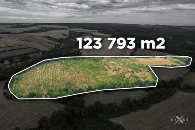 Prodej sadu/pozemku 123 793 m2, Hodkov u Zruče nad Sázavou, Zbraslavice – Hodkov, okres Kutná Hora
