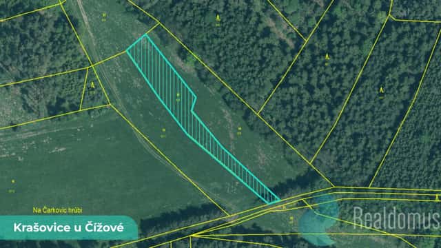 Prodej, Krašovice u Čížové, 1/2 LV 447, Čížová, okres Písek