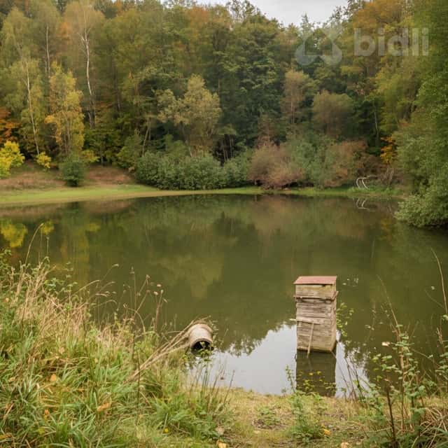 Zahrada, prodej, Žlutice, Karlovy Vary, Žlutice, okres Karlovy Vary