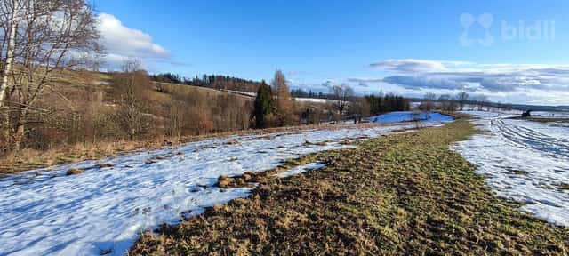 Louka, prodej, Rudník, Trutnov, Rudník, okres Trutnov