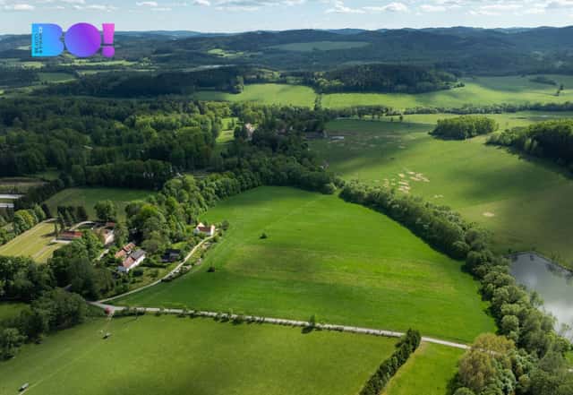 Prodej zemědělských pozemků, 55 021 m, Chvalšiny, Chvalšiny, okres Český Krumlov