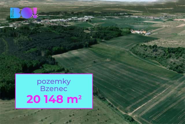 Prodej pole, 20 148 m, Bzenec, Bzenec, okres Hodonín