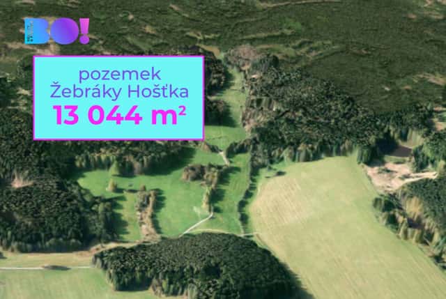 Prodej zemědělského pozemku, 13 044 m, Žebráky, Hošťka, Hošťka – Žebráky, okres Tachov