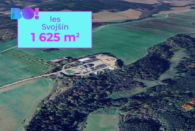 Prodej lesa, 1 625 m, Svojšín, Svojšín, okres Tachov