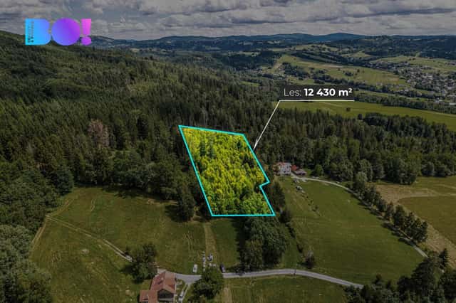 Prodej lesa, 12430 m, Písek, Písek – Písek u Jablunkova, okres Frýdek-Místek