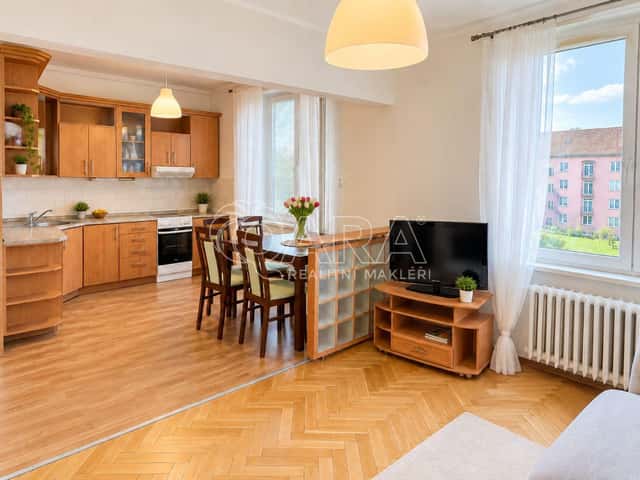 Prodej bytu 2+1, 59,6 m², Třebízského - Střekov, Třebízského, Ústí nad Labem – Střekov