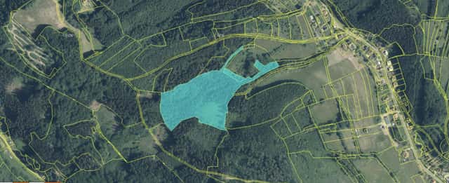 Prodej pozemek les, CP 38 165 m2, Vsetín, Rokytnice, Vsetín – Rokytnice